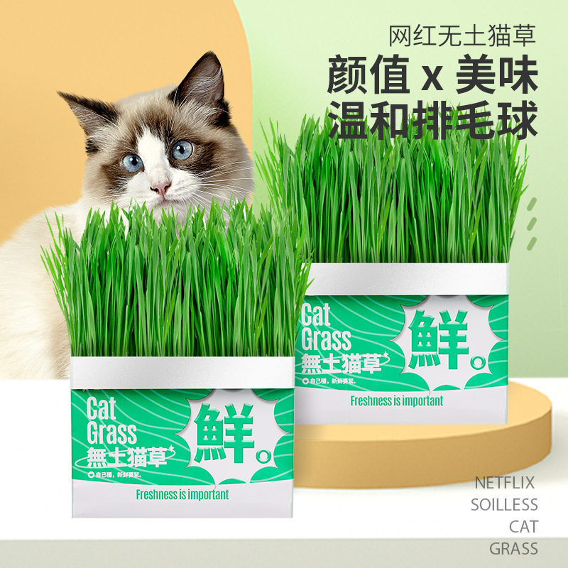 Cat Snacks, Cat Grass Potted Box, Lazy Hydroponic Kitten Wheat Seed Hair Removal Ball, Mild Hair Removal, Soilless Bagged Cat Grass