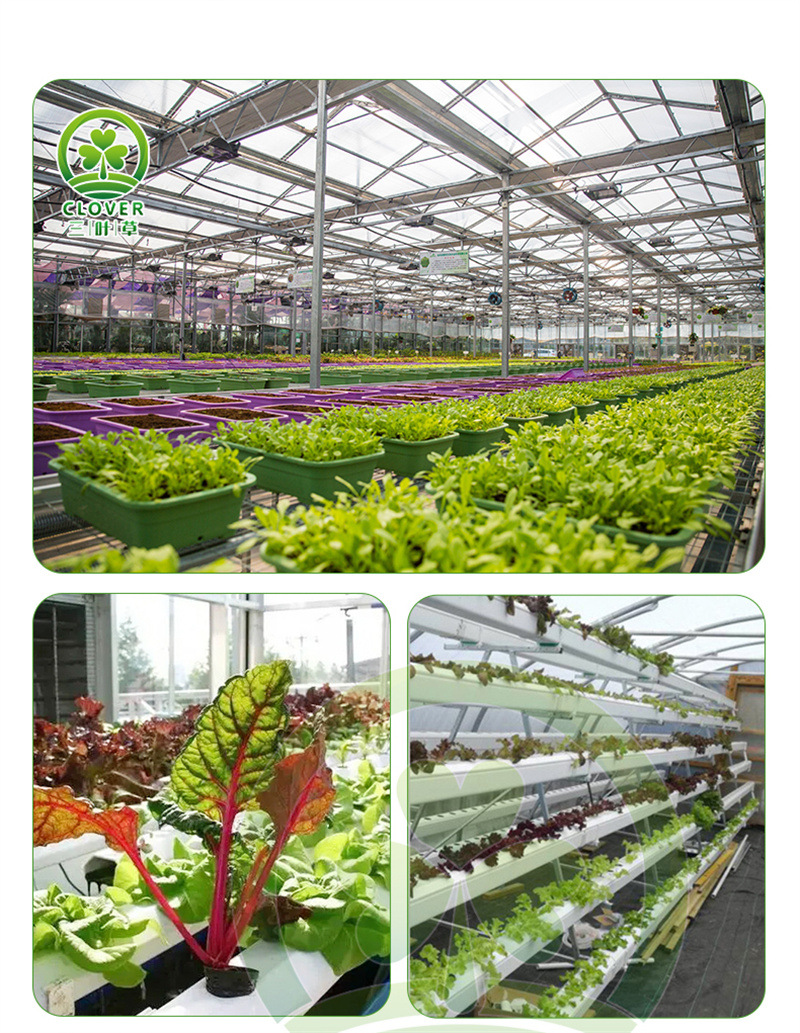 旋转种植塔详情_11.jpg