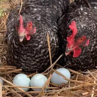 ���������J���u�������J���u����w�G��������a���J���uĸ�u