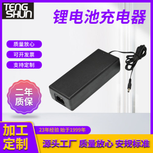 48V2A Lithium Battery Electric Car Charger New Lithium Battery Electric Car Charger