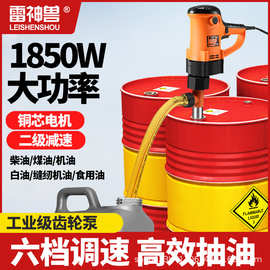 手提式抽油泵电动油抽泵220v大功率插桶抽液器柴油加油机加油神器