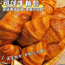 ţ�ǰ�������ǰ��S������������ð��Ʒ���͏d����������䃞��