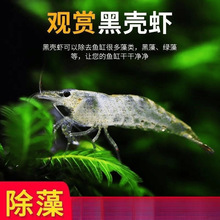 �ښ��r�r���^�p�r�����~��С�r��ˮ�ͻ���ˮ̖�坍�O��ѻ��r