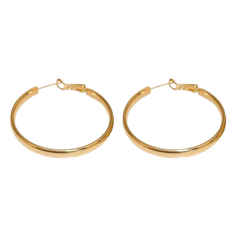 French-Style Metal Hoop Earrings, New Trendy Women's Tiktok Hot-Selling Plain Hoops with Unique Temperament, Wholesale