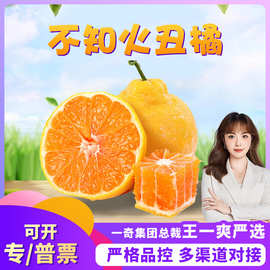【严选】2.10号发四川不知火丑桔爆甜丑橘子新鲜孕妇水果非果冻橙