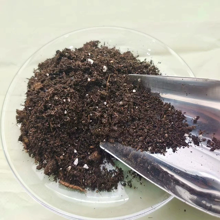 Supply nutrient soil peat moss for flowers planting orchids succulents soil nursery organic soil substrate wholesale