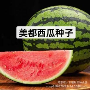 �����������ϷN�� ���Ѹ߮a�tȿ�������ϷN�Ƕȸ߿������N��