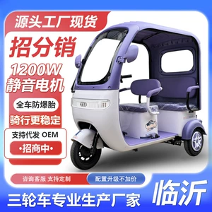 2026 Electric Tricycle Leisure Vehicle Double Row