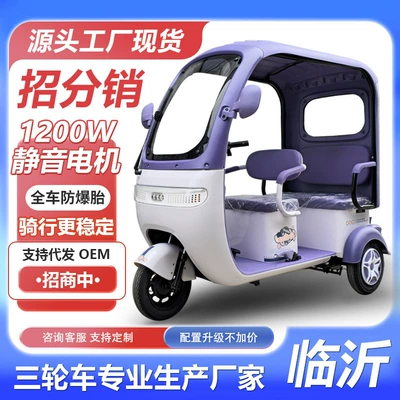 2026 Electric – Aibu Auto Parts and Accessories