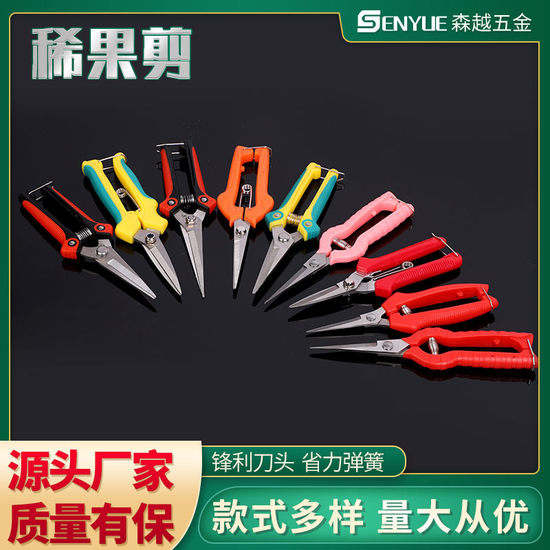 园林工具不锈钢尖头稀果剪果园摘果剪修剪花草采摘水果修枝剪批发