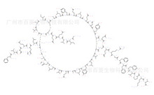 重组人胰岛素 人胰岛素 Recombinant Human Insulin I8830