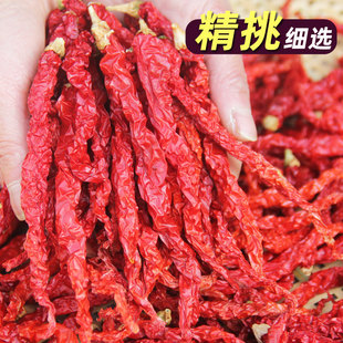 �����خa���¸�����΢������t������؛����������G�l�ؽ�����