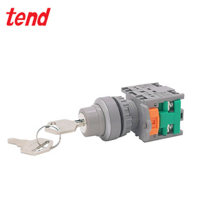 Tend Tiande Tn2Ks16-2A Key Switch 6A 250Vac Original Authentic