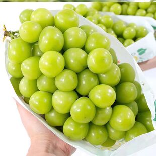 ����S���Ĵ�ꖹ�õ���������rˮ����������o����ӡ������������