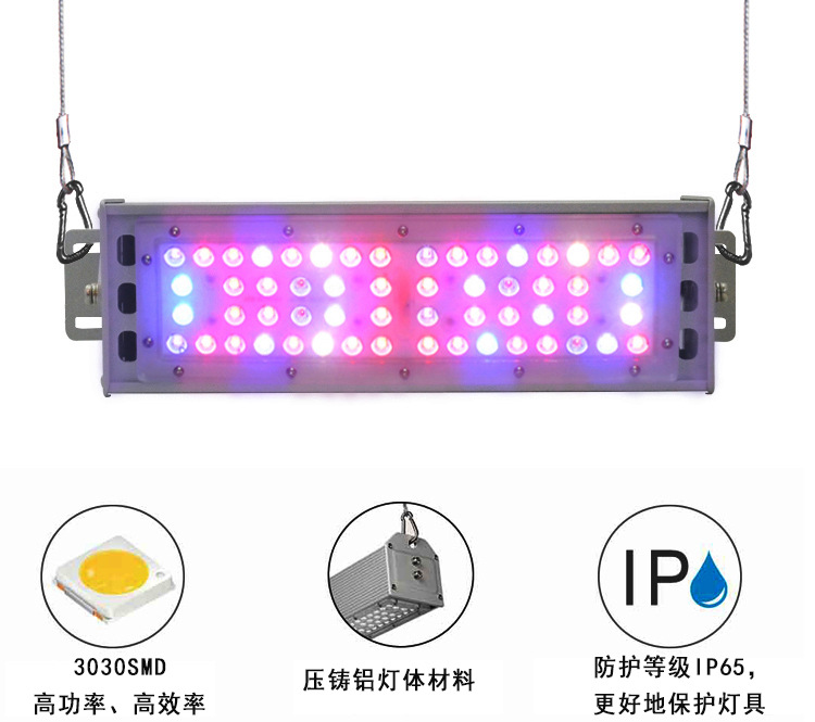 ֱLED50W 100WֲҴֶ֧ƹ