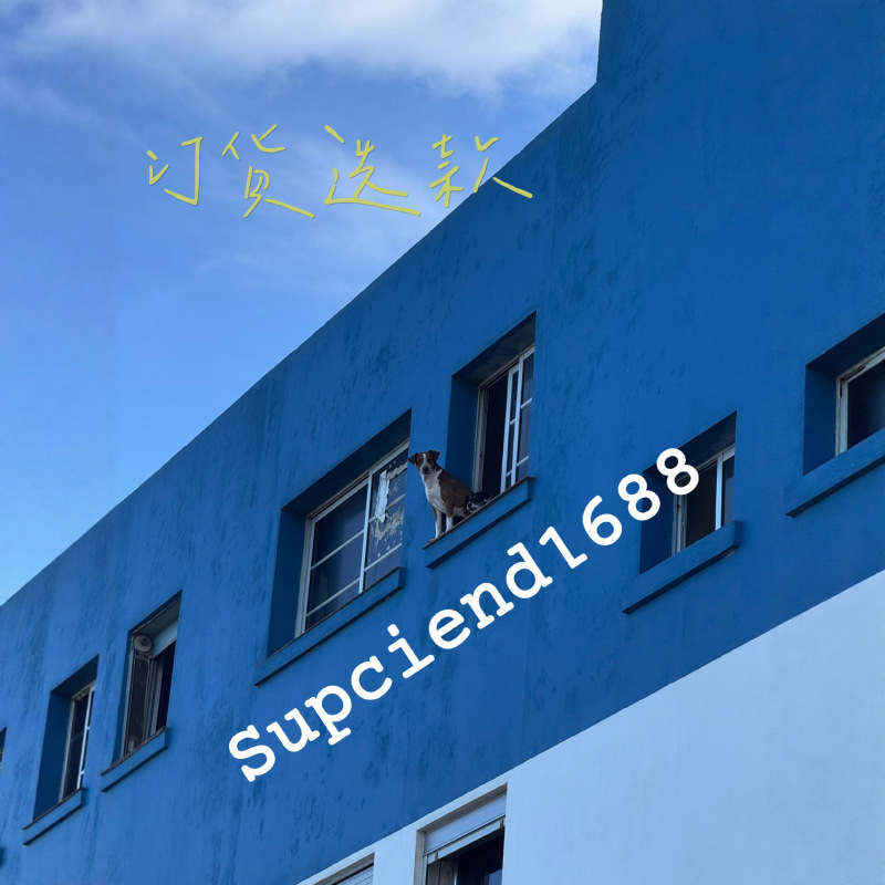 SST 25早秋刺绣一字肩短袖 白色修身T恤|undefined
