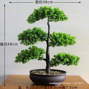 ӭ���ɻ�c��ˇ���԰lؔ��Gֲ�ٻ��Ҿӿ͏d�辰���ϔ[���b�