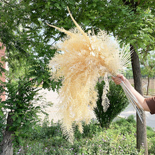 ��c���滨�㙉ɫϵ ��Y�õ��·���b����ϻ����컨�㙉���}