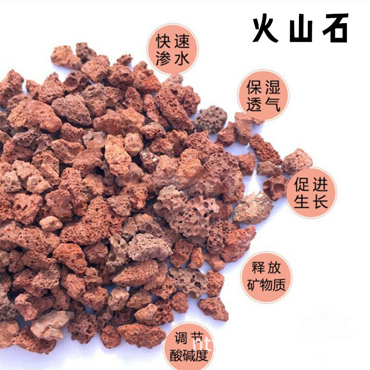 O1CN01lMsHbK2IjWs375GP2_!!2213