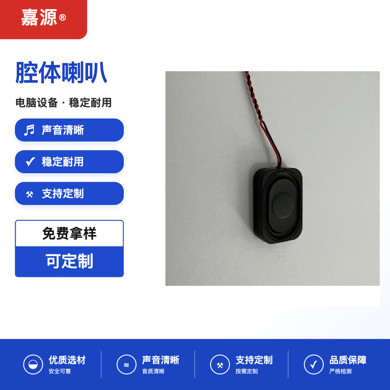 2030 Ultra-Thin Laptop Cavity Small Speaker Tweeter 2030 Ultra-Thin Laptop Cavity Small Speaker Tweeter