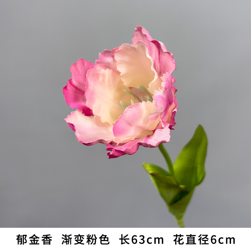 Tulips "new style recommendation"