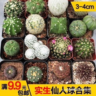 �������B���������ϵ��������ë���ճ��׺ϼ��M����������������