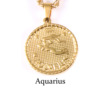 Sophisticated zodiac signs stainless steel, necklace, brand coins, pendant, European style