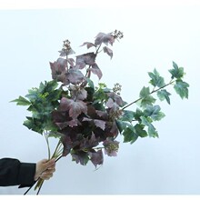 ����Gֲ��֧�����~���~������˪�Gɫ�͹ŷ��滨���ľGɫϵ�b�