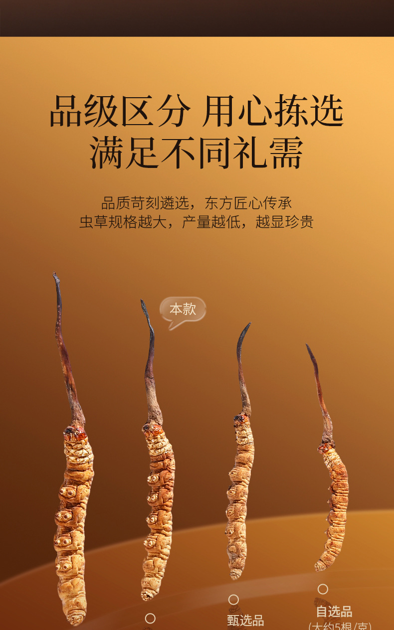 Premium Cordyceps Sinensis Gift Box 20g Wild-Harvested Qinghai Dong Chong Xia Cao quality and texture