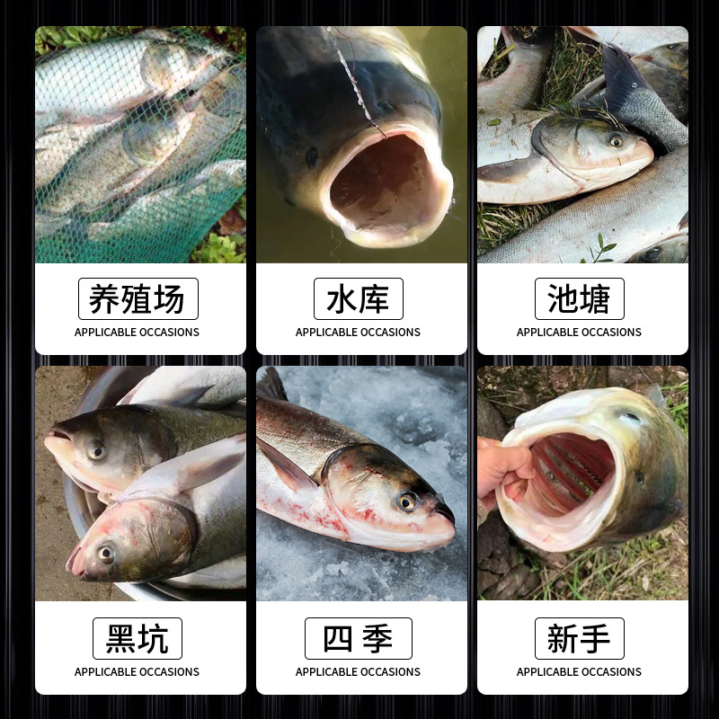 谷道香 浮釣鰱鱅開口劑 餌料鰱鱅胖頭魚餌料黑坑野釣魚餌釣魚小藥