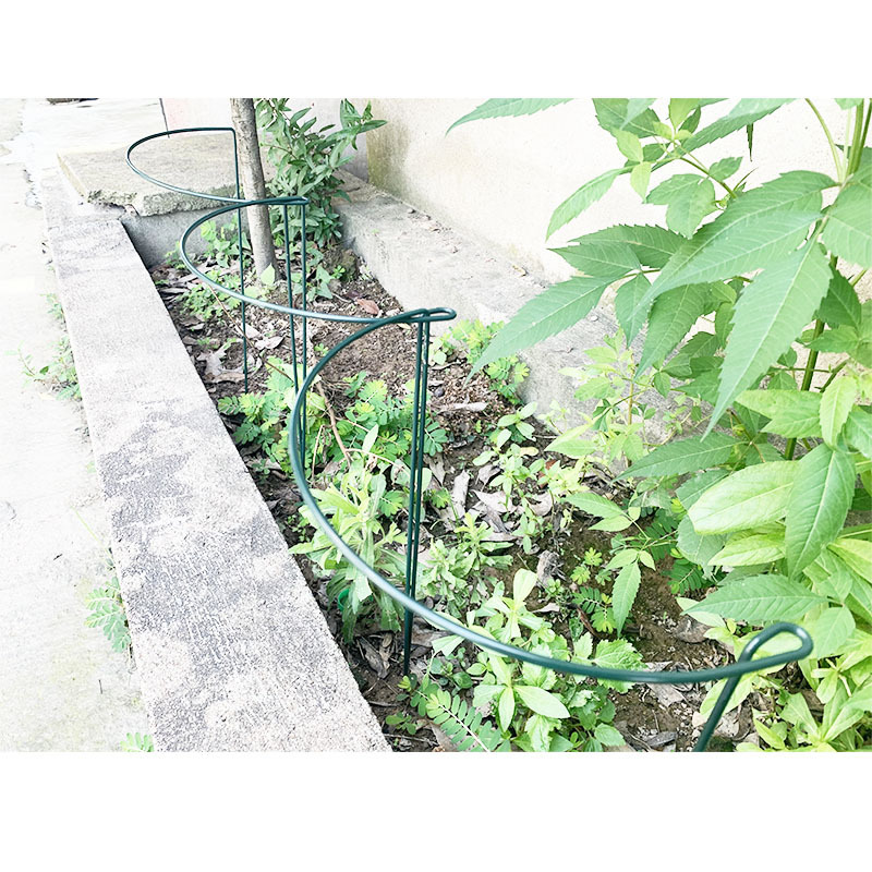 17021401825_223168717