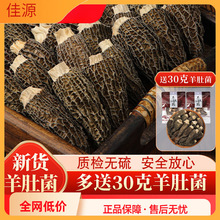 羊肚菌干货非特级野生25g新鲜菌菇煲汤干货礼盒云南菌子养生