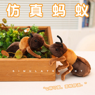 �羳����Λρ���Ё��R�d�羳ë�q������l���Є������x�����ż
