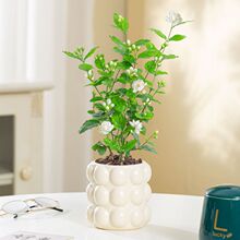 �������Ԏ������_���ذ��k���҃ȾGֲ�̨�����ļ��������ֲ��