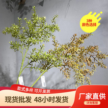 �������~���滨�������~�ٻ�����ֲ��Ҿӿ͏d�b[�O�پGֲ����