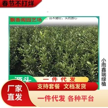 �ָ̘������ڏV��091�o���ָ����������Ե��Լ޽ӽY������Ә���