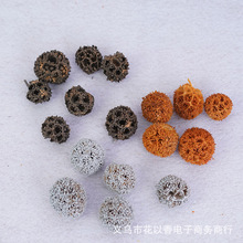 【彩色风球果】天然干果金银色圣诞装饰diy植物标本相框拍摄道具