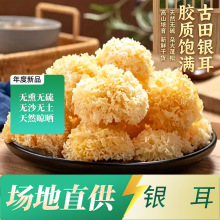 ɢ�b���l�����خa���y�����r��؛���l�Ƶ������û��ʳ�ğ���