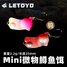 LETOYO ΢2.2gȫӾӾUP·DV~DMDϪD