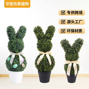 XT�����޼��������ԁ��R�d���N���������辰�ͻ���Ӳʵ��Gֲ��