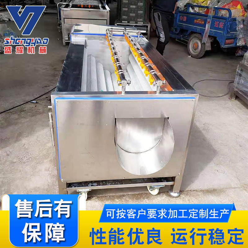 厂家供应毛棍土豆清洗机 毛棍萝卜去泥清洗机 果蔬毛辊清洗设备