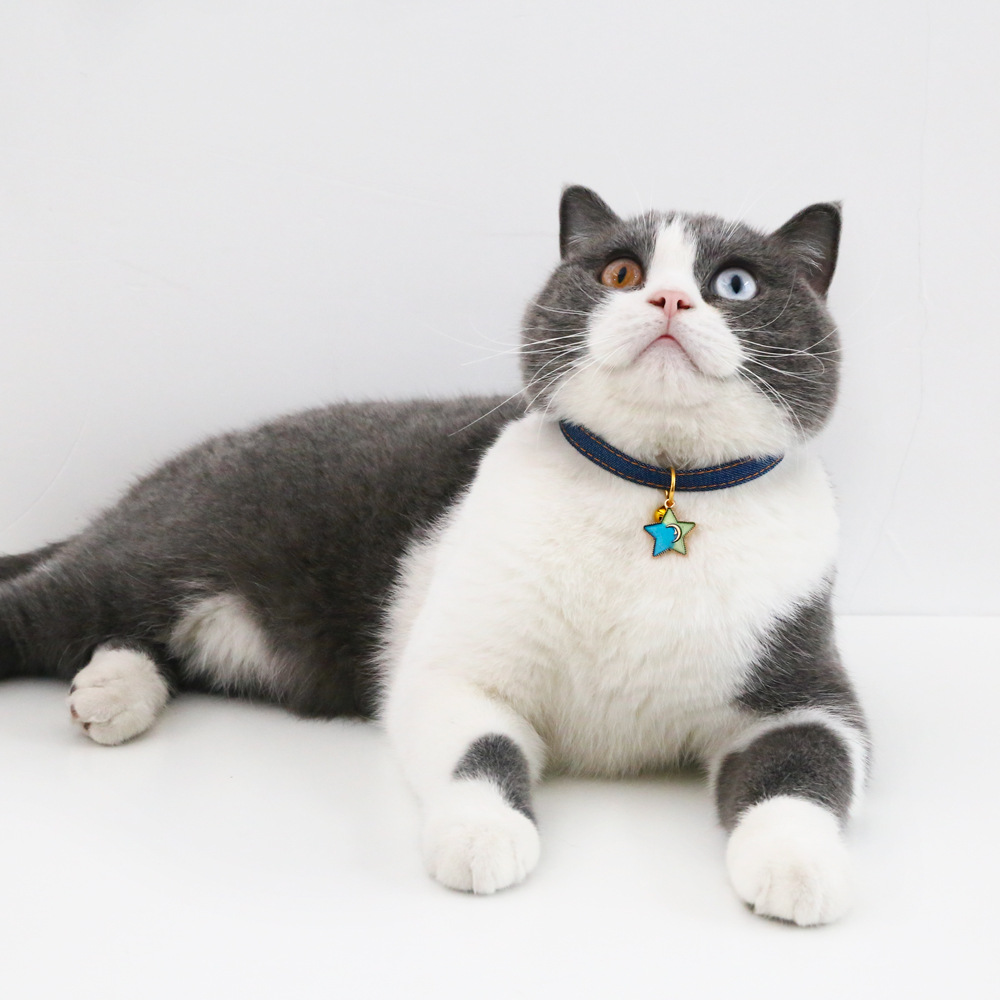 Pet vaquero colgante de penta gato perro collar conejo campana accesorios estilo japonés y coreano