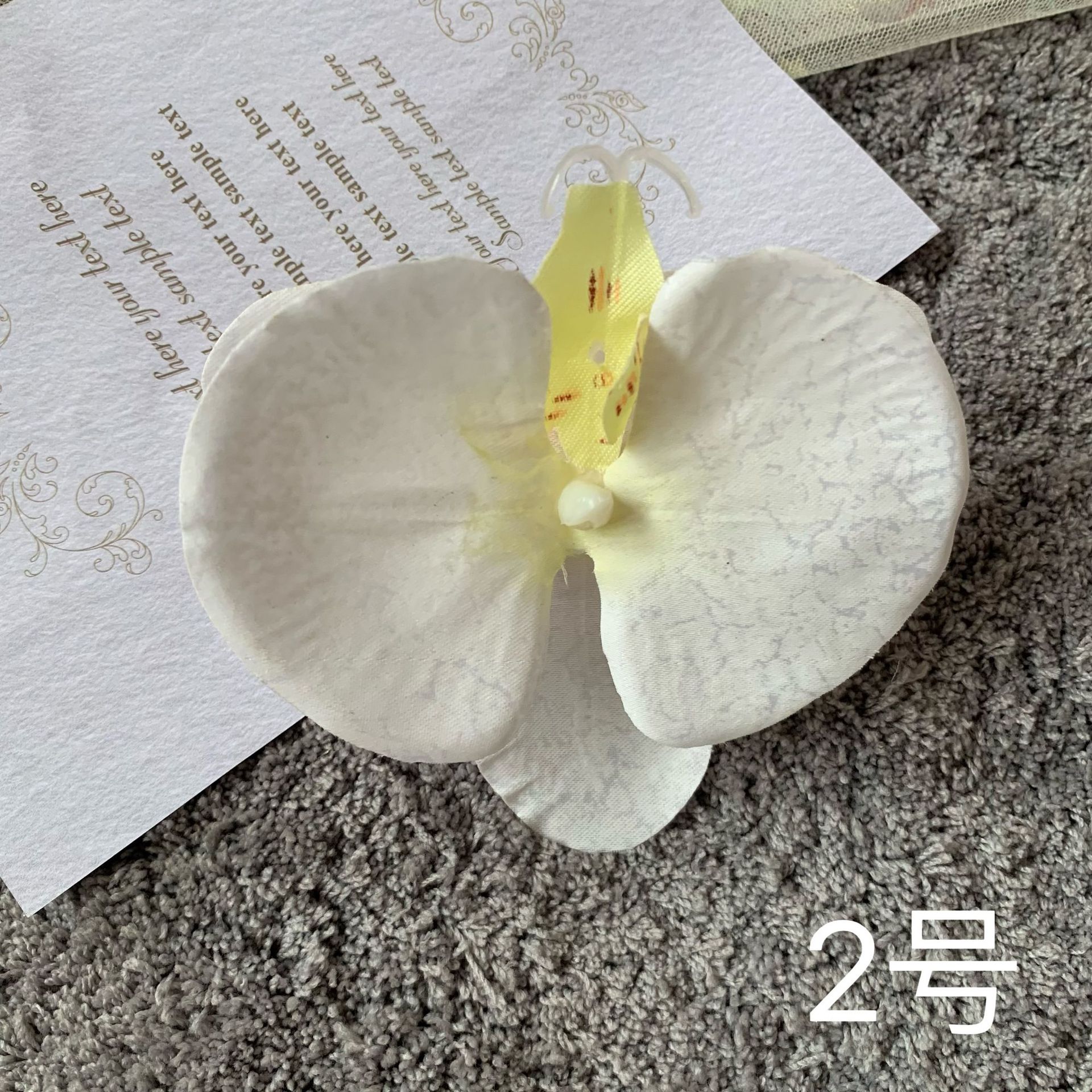 흰색 노란 새