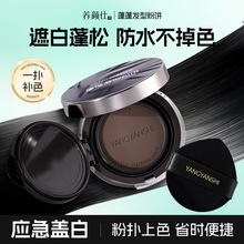 养颜仕蓬蓬发型粉饼粉质细腻防水防汗自然遮盖白发蓬松发型粉饼
