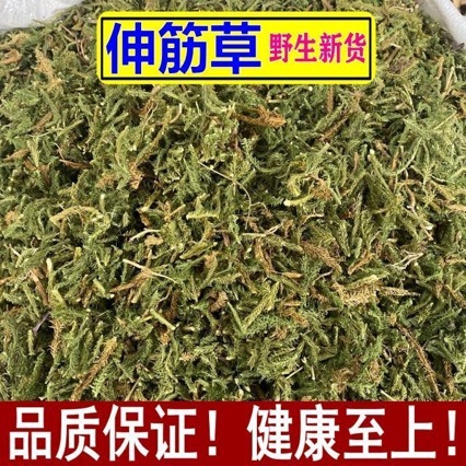 Shen Jin Cao (Lycopodium clavatum) — Dried Herbal Stems for Traditional Decoctions & Soaks key features