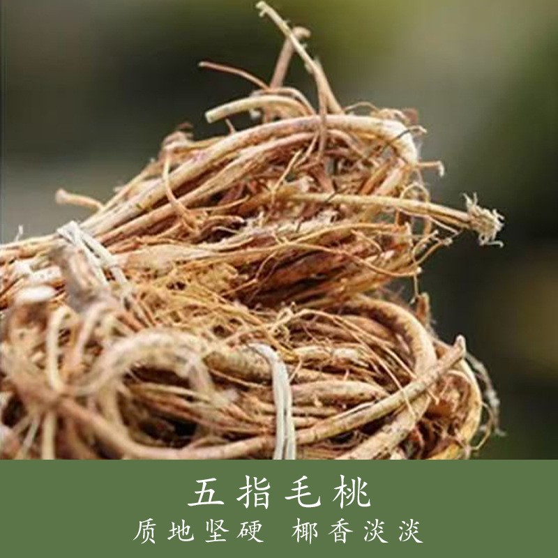 Wu Zhi Mao Tao Fu Ling Gao (Five-Finger Peach & Poria Paste) — Steamed Herbal Paste, 220g Jar overview