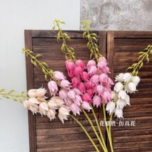 �ͮ�����L⏱��W�Ҿ�ܛ�b��̻�c�辰�L֦��m���滨�羳�ٻ�
