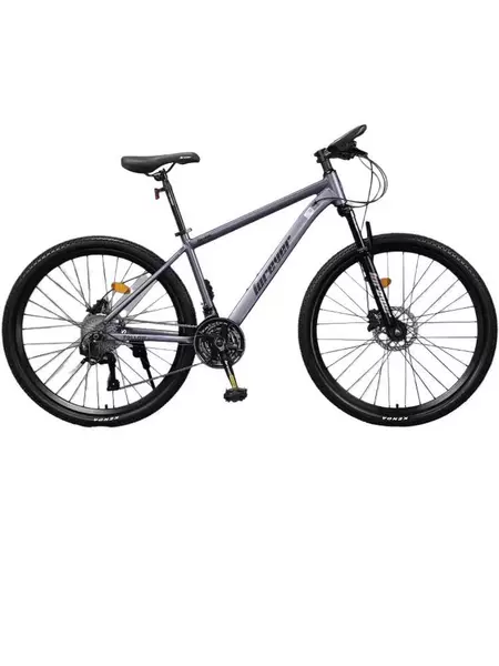 Galaxy Gray Steel Frame [Mechanical Double Disc]-26 inches-27 speed