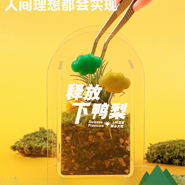 Moss Micro-Landscape Air Pineapple Office Green Plant Desktop Potted Plant Mid-Autumn Festival Small Gift Gardening Potted Plant