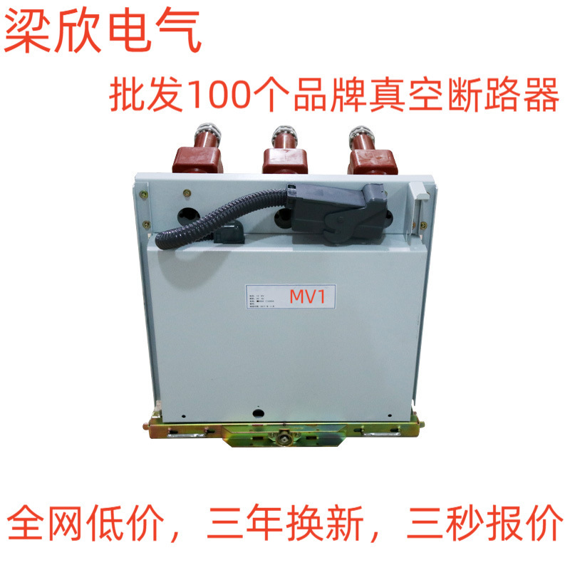 MV1-12kV系列 泰永长征中压真空断路器